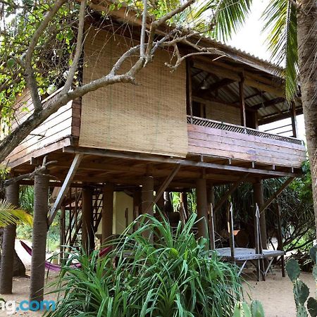 Albero Cabanas Arugam Bay Bagian luar foto