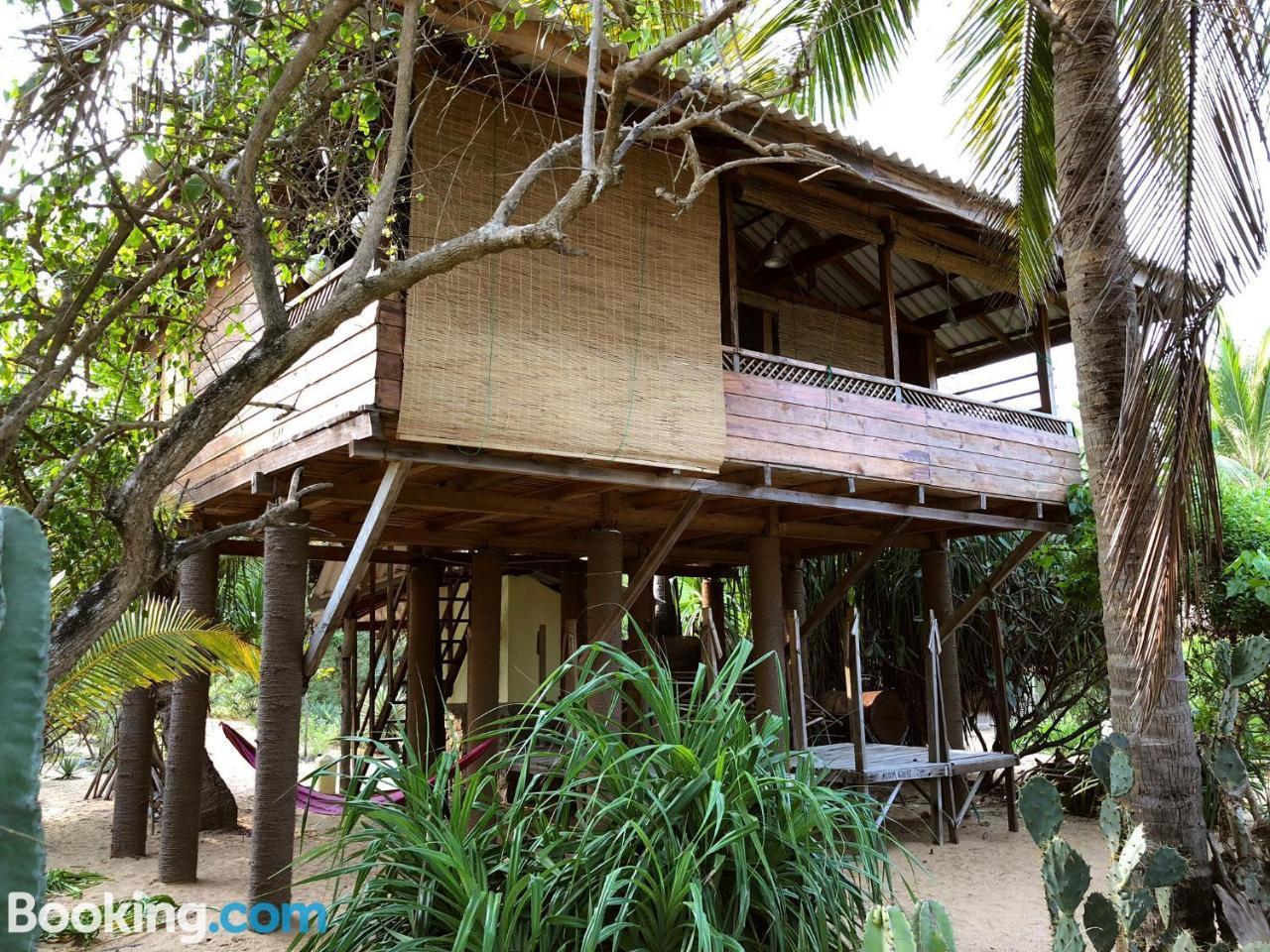 Albero Cabanas Arugam Bay Bagian luar foto