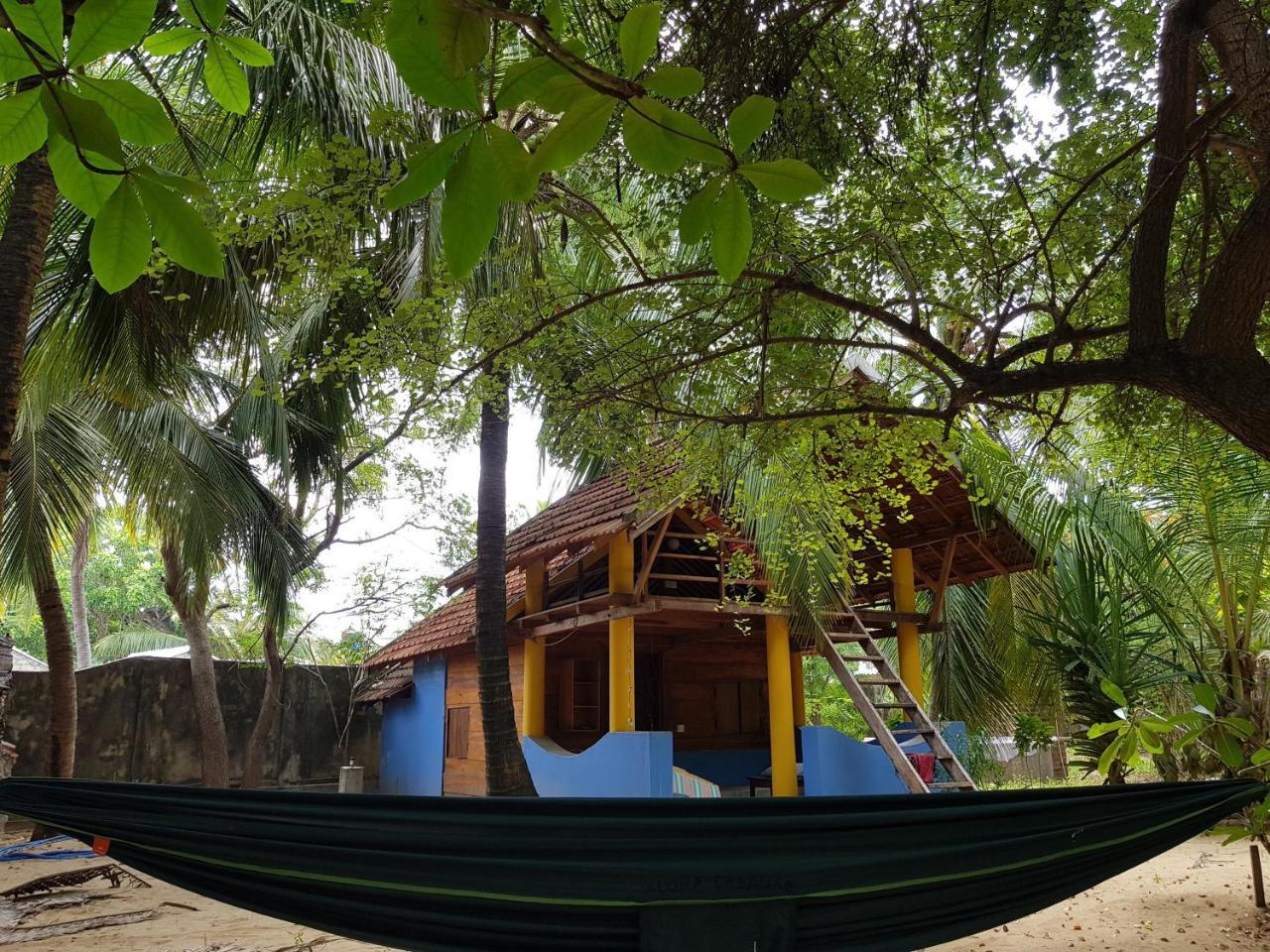 Albero Cabanas Arugam Bay Bagian luar foto