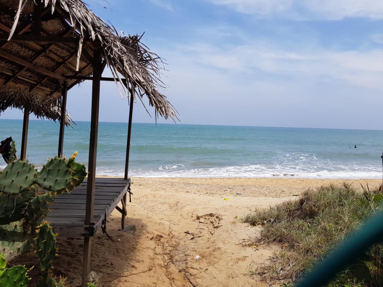 Albero Cabanas Arugam Bay Bagian luar foto