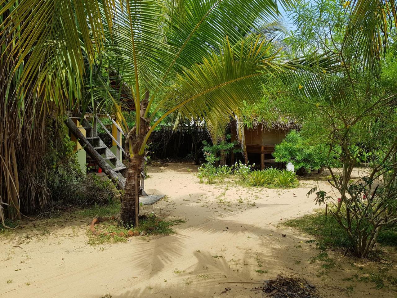 Albero Cabanas Arugam Bay Bagian luar foto