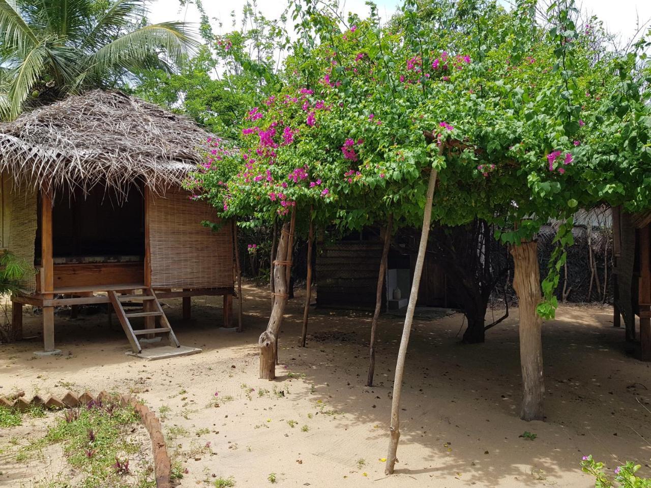 Albero Cabanas Arugam Bay Bagian luar foto