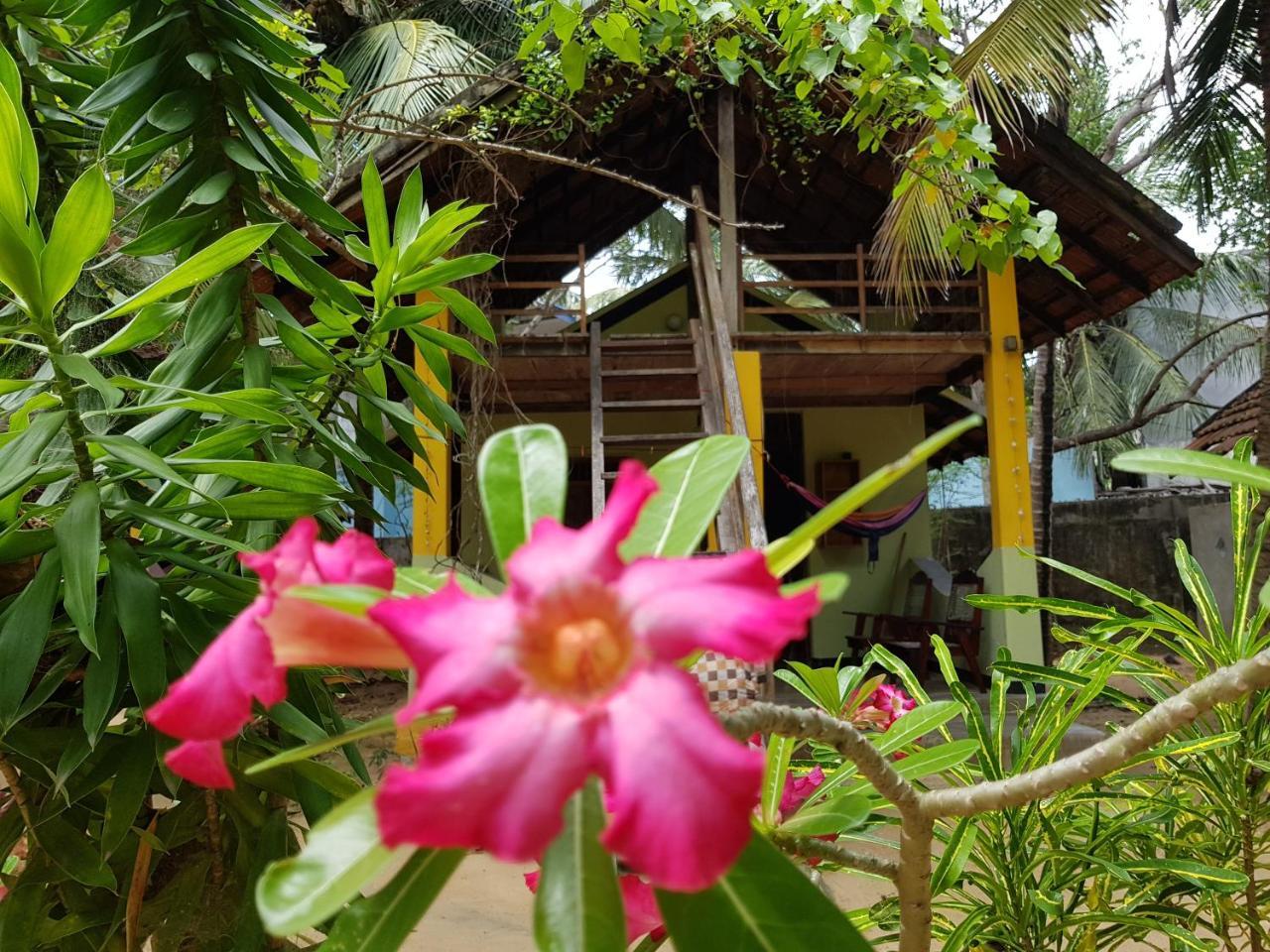 Albero Cabanas Arugam Bay Bagian luar foto