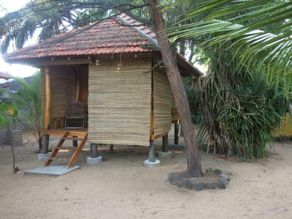 Albero Cabanas Arugam Bay Ruang foto